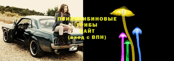мяу мяу мука Осташков