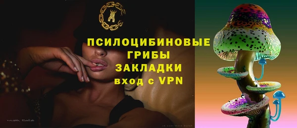 молекула духа Володарск