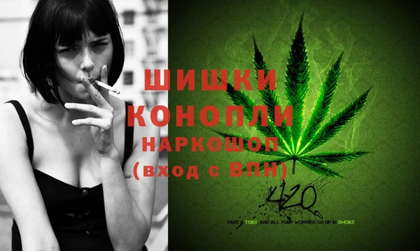 молекула духа Володарск