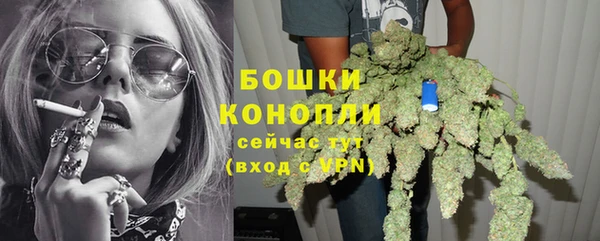 молекула духа Володарск