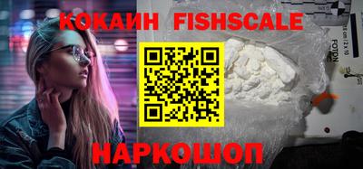 шишки Коммунар