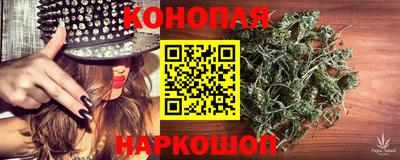 шишки Коммунар