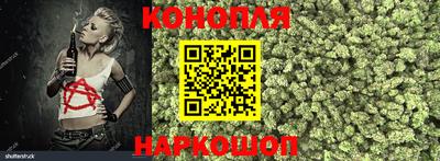 шишки Коммунар