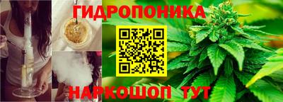 шишки Коммунар