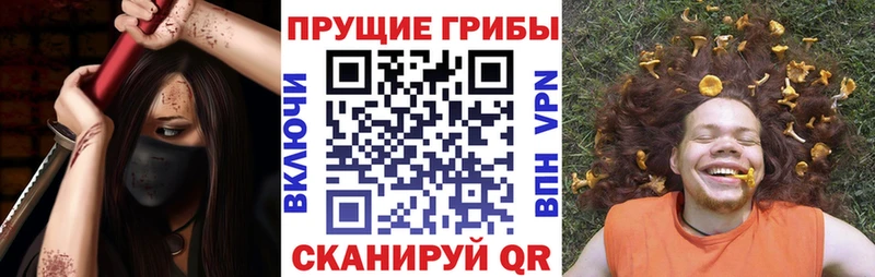 хочу наркоту  Муром  дарк нет состав  Псилоцибиновые грибы мицелий 