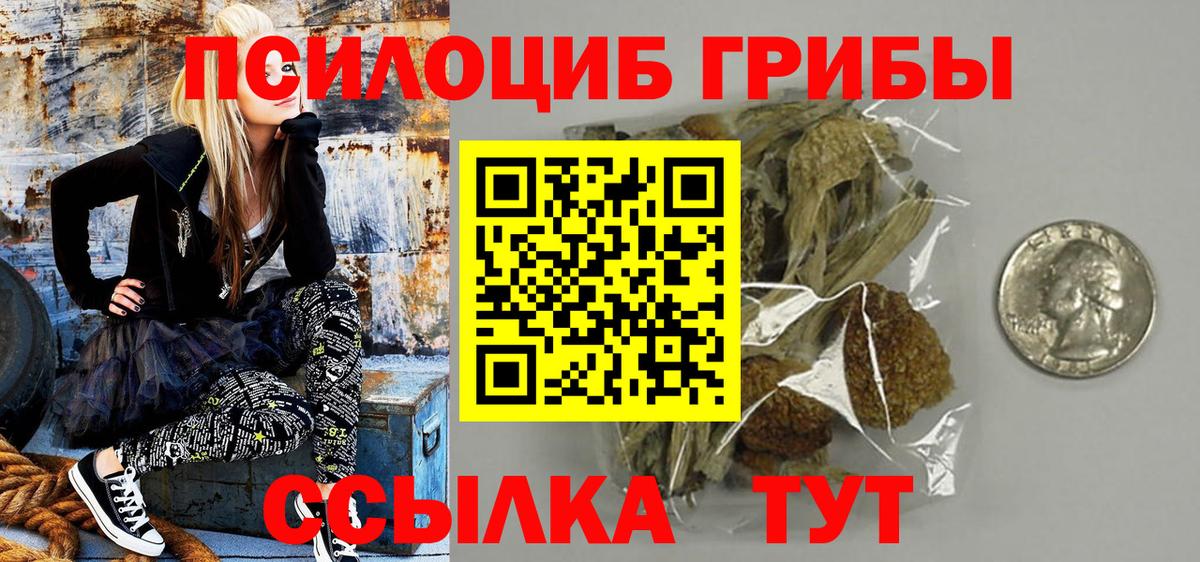 Муром  Псилоцибиновые грибы Psilocybine cubensis  как найти   Вход с VPN  Псилоцибиновые грибы Psilocybe 