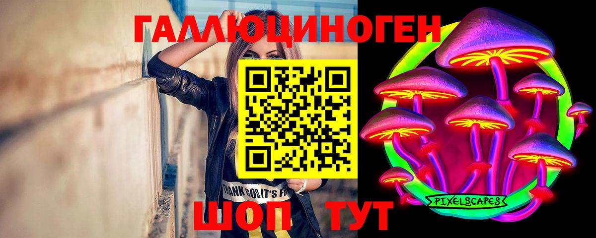 Псилоцибиновые грибы Psilocybine cubensis Муром